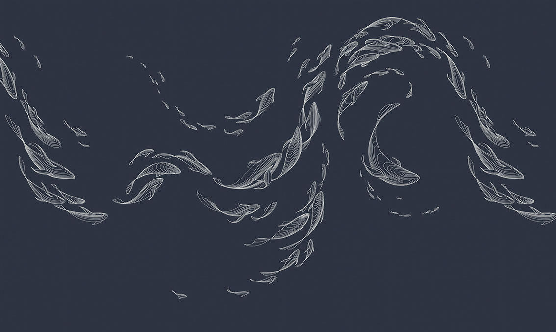 现代简约抽象鱼群