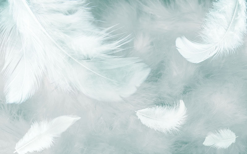 现代简约背景墙白