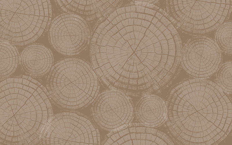 现代简约背景墙树