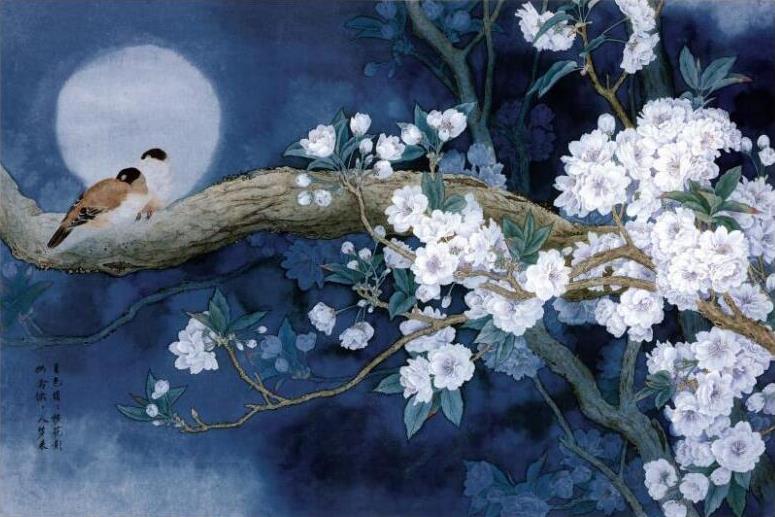 中式手绘工笔花鸟