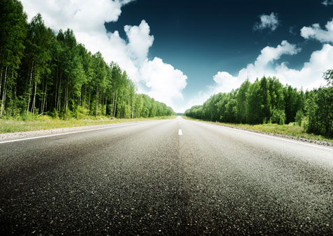 树木公路道路景色