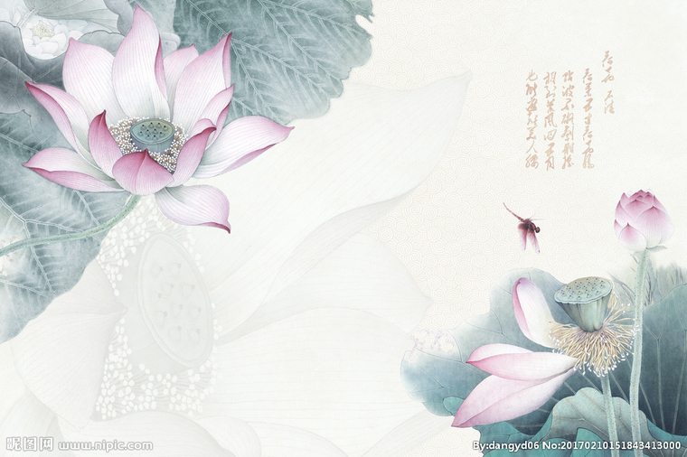 G荷花壁纸背景墙