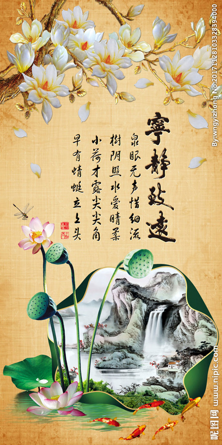 电视图片玄关电视