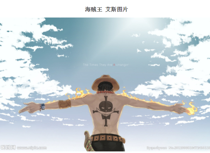 G海贼王 艾斯背