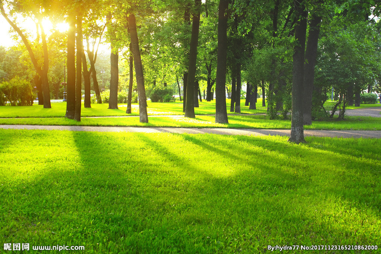 G树林草地公园一