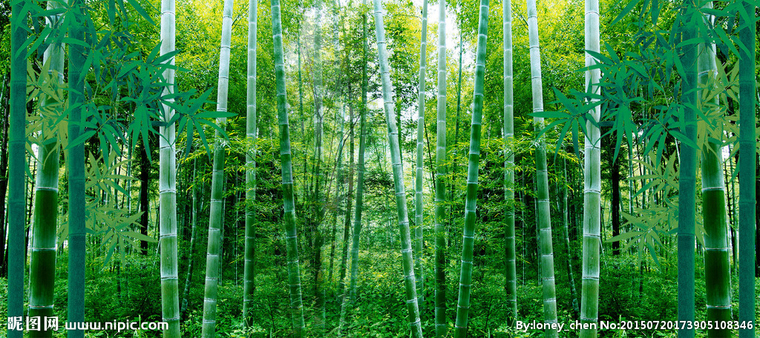G竹林背景墙竹林