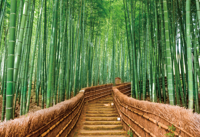竹林小路背景墙竹