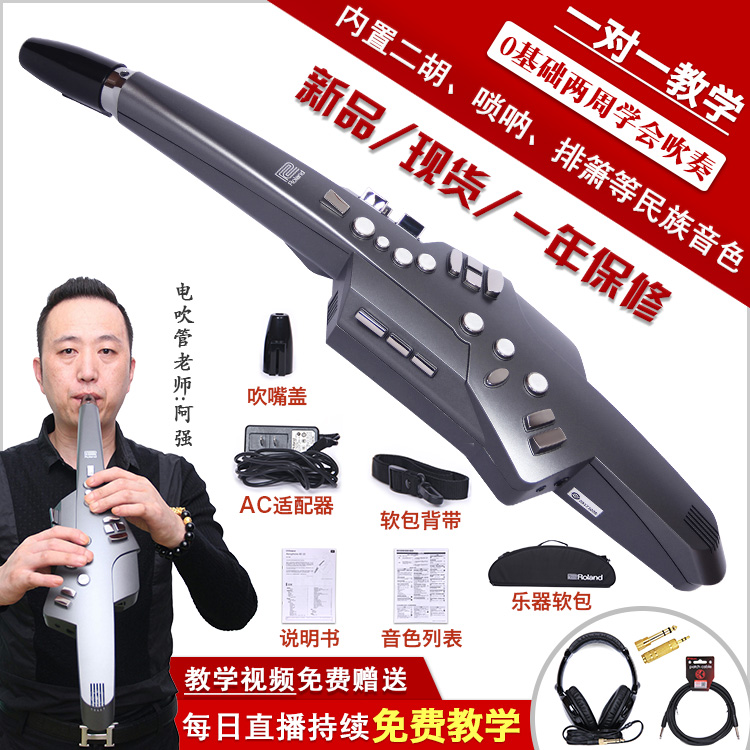 ROLAND RAND Electric Blow Wind Instrument AE-10 AE-05 AE-01 Beginners in Electronic Blow Pipe Electric Sax
