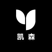 凯森潮牌工厂店的LOGO