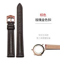 Браун-роз золотая пряжка