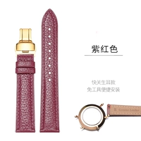 Золотые кнопки фуксии