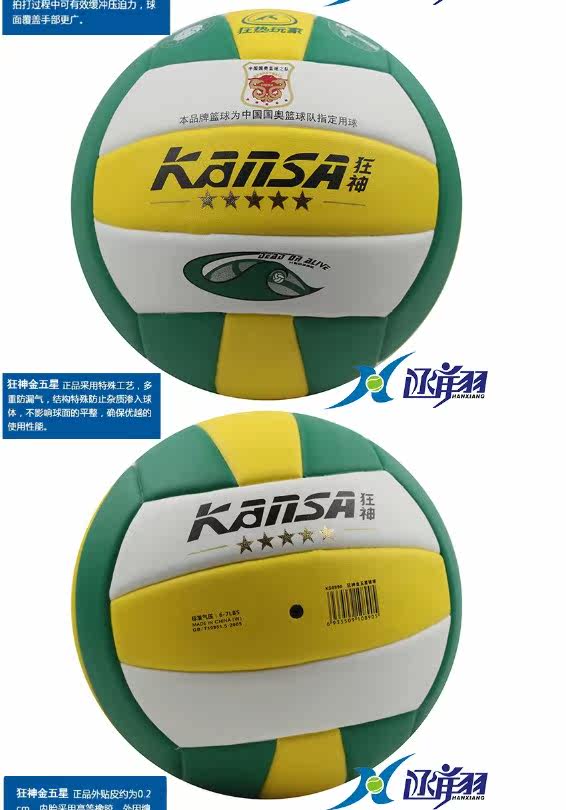 Ballon de volley - Ref 2015510 Image 9