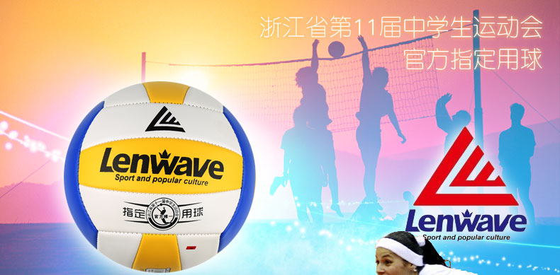 Ballon de volley-ball - Ref 2008415 Image 6