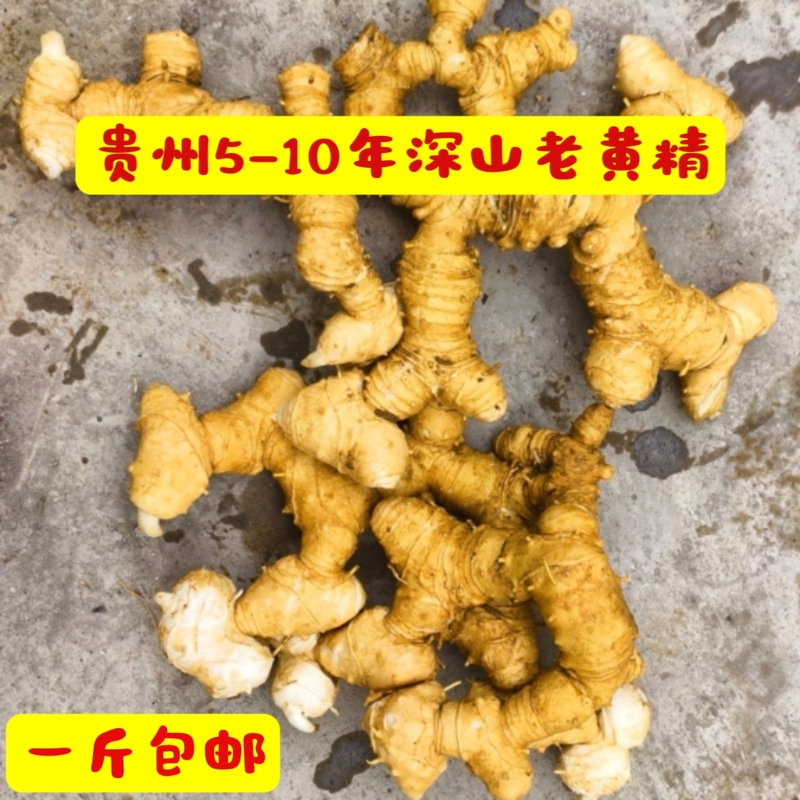 Fresh Huangjing (Polygonatum Odorifera), Tiger Ginger, and Chicken Head Ginseng from Guizhou, over Five Years Old, for Soup, Wine, and Chicken Stew, Nourishing Ingredients
