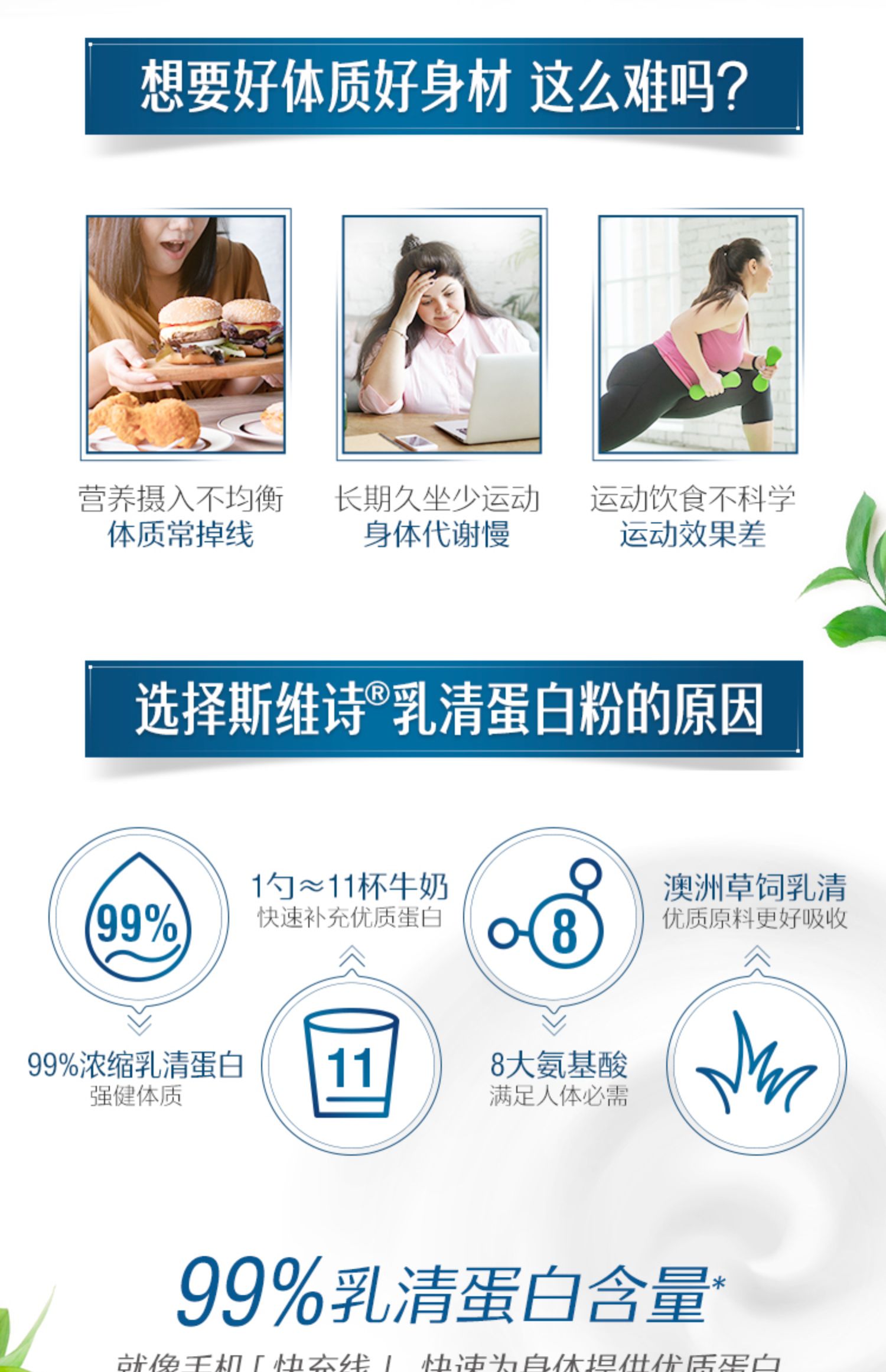 【热巴同款】Swisse斯维诗乳清蛋白粉450g