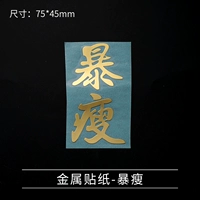 Металлический патч-22-безболезненный тонкий