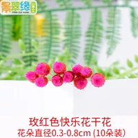 Роза красные счастливые цветы сушеные цветы (10 нарядов)