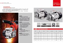 High-pressure combustion oil pump high-temperature corrosion-resistant boiler methanol alcohol-based fuel LEHE PUMP multiple specifications