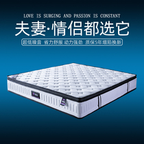 Special price electric mattress for couples to help with soundtrack Hotels and hotels with fun vibration latex to share electric beds