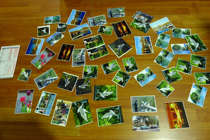 A lot of photos are usually 3-5 inches and mostly seagulls are packaged for 20 yuan(coffee bar