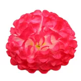 Dance Flower Ball Head Flower La La La La La La Lacta Dance Player Flow