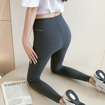 Grey beating underpants female outside wearing spring pure cotton irregular foreign air small foot pants with high waist elastic tight body 90% pants