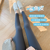 Shark pants outside wearing woman 2022 new spring and autumn thin suede black with underpants closeout slim leg grey Barbie skinny pants