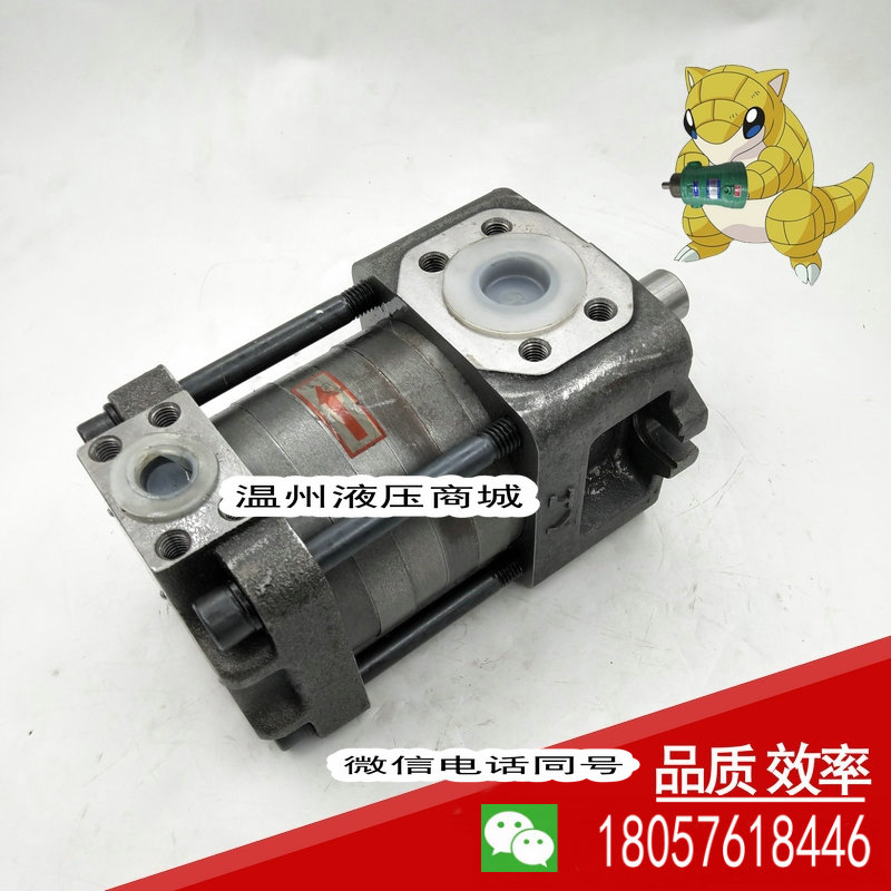 NB2 NBZ2-G10F G12F G16F G32F G63 Shanghai Hangfa high pressure gear pump