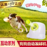 ДОБАВИТЬ СВОЙСТВЕННАЯ ДОБАВИТЬ ДОБАВИТЬ ДОБАВИТЬ БАЛЛ ПЕТ ТЕННИС