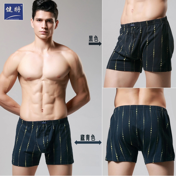 Thể dục nam Quần lót Boxer Quần cotton 100% Cotton Chất béo trung niên Chất béo cộng với Tăng vòng eo Lớn Kích thước lớn đồ lót cao cấp