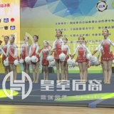 Шесть лет -Shop Shop Six Colors Professional Custom Childuading Competition Competition Соревновательный цветочный мяч