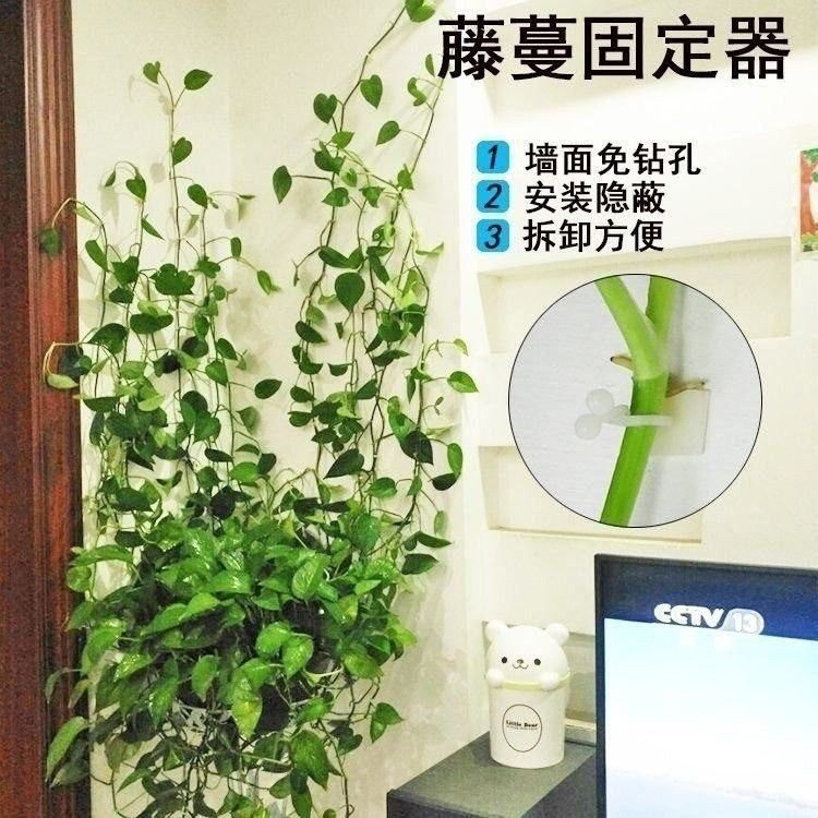 Plastic flower wall clip hook plant shelf bedroom wall hanging rose on the wall long rattan potted nail-free fixed buckle