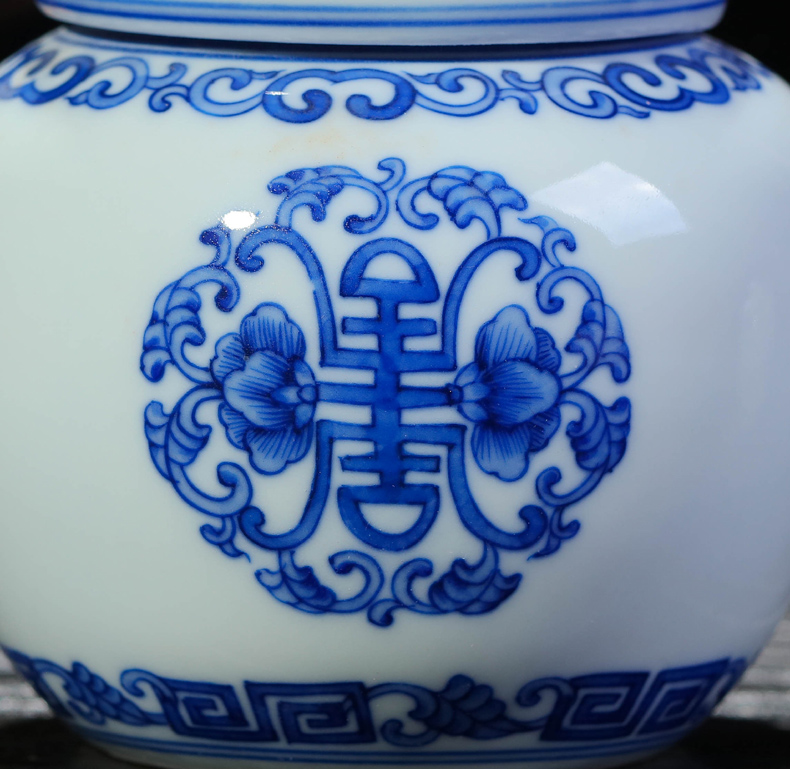 Offered home - cooked hand - made of blue and white porcelain in jingdezhen porcelain tea caddy fixings tea storehouse storage jar checking ceramic tea set