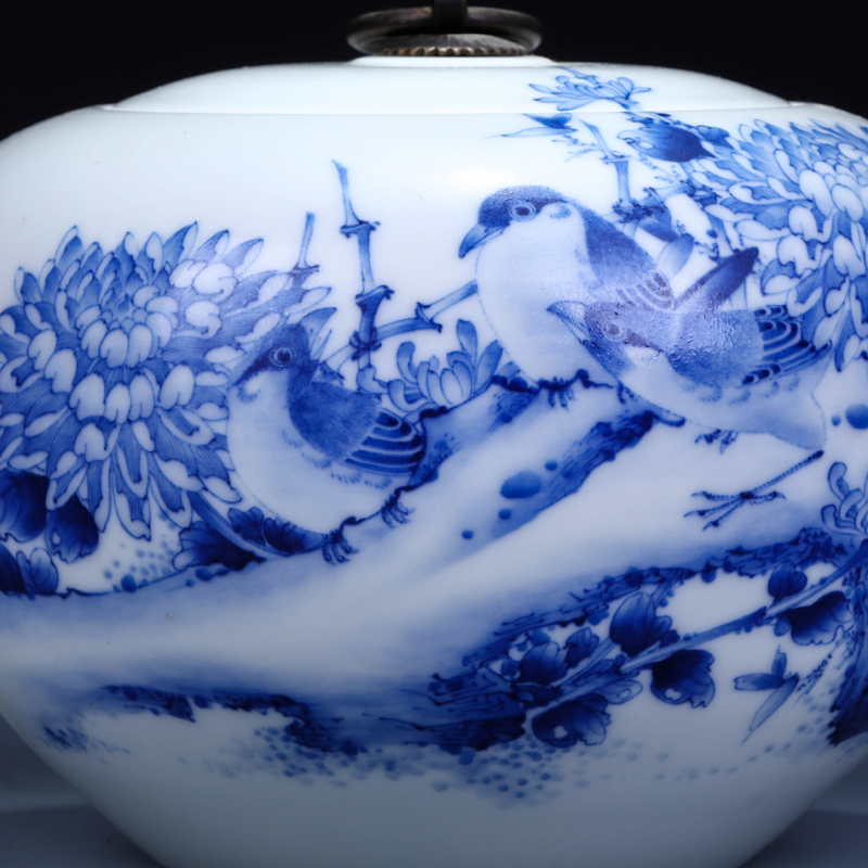 Offered home - cooked hand blue and white porcelain in jingdezhen porcelain tea pot Jin Hongxia ceramic tea tea is tea storehouse storage tank