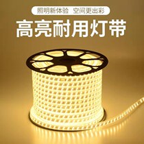 Lamp with led triple color changing living-room ceiling light with home Soft light Bar Outdoor waterproof RGB Bright Seven Color Line Lights