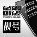 电信鑫悦通信专卖店的LOGO