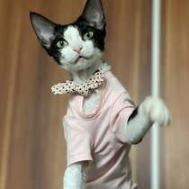 Cute butterfly knot detachable no hairy cat clothes Sfinks Devin Coynes Summer slim pure cotton T