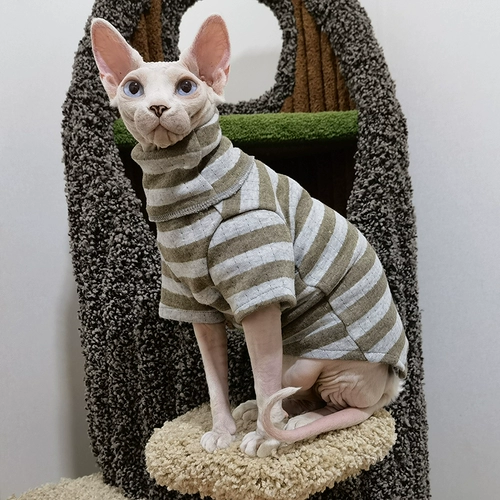 Двухцветная удерживающая тепло демисезонная хлопковая толстовка