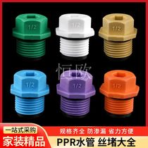 PPP Plastic Silk Jam 4 points 6 points 1 2 Outer silk choke plug 20 Ribbon Inner Tooth Plastic Pipe pipe cap accessories with circle