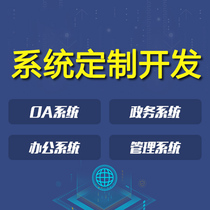 System development Group Office OA Management platform Customization Government approval Enterprise Government E-commerce website construction