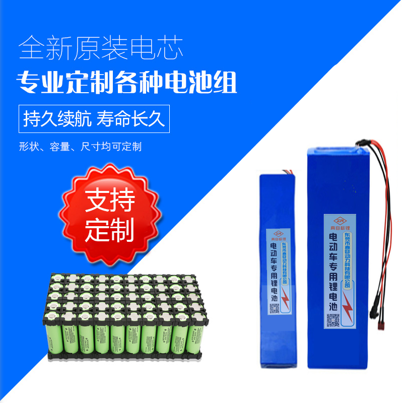 Custom 24V36V48V Lithium Battery Harecar Scooter Robot Mower Drone Drone Adult Scooter