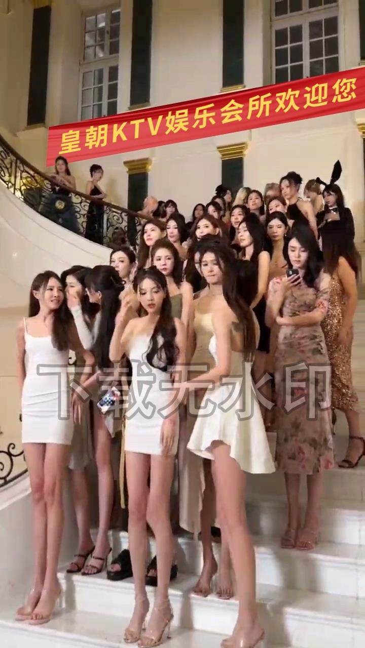 一群美女横幅文件夹