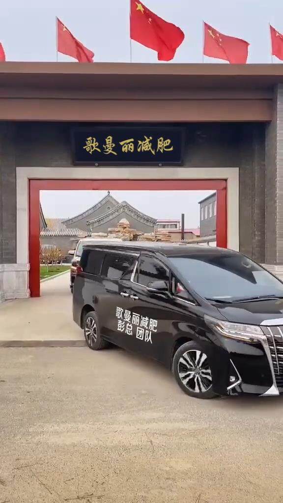 埃尔法车队（3车改字）