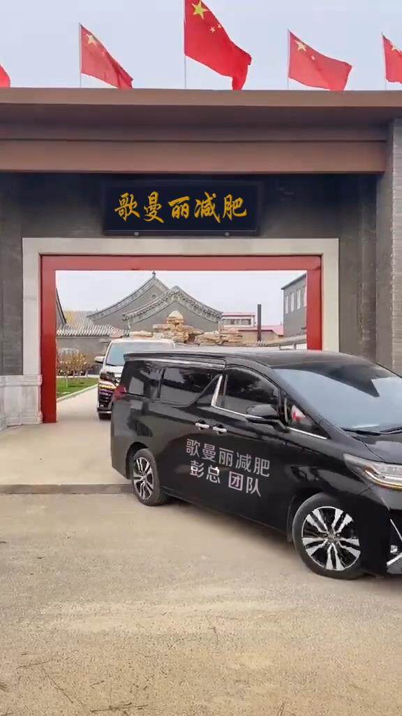 埃尔法车队（8车改字）