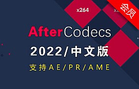 AE快速导出mp4格式渲染 一键安装破解版