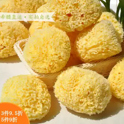 Greek deep sea natural seaweed sponge for infants, children, babies, adults, bath sponge, large size bath honeycomb sponge