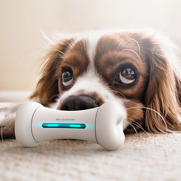 wickedbone crazy bone smart pet electric toy robot interactive bite resistant cat dog anti demolition home
