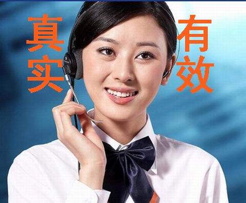 Vehicle plate information driver information frame parameters