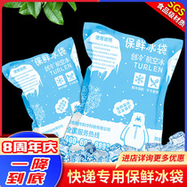 Chuangleng Technology Aviation Ice Bag Food Seafood Fruit Preservation Express Refrigeration Disposable Cold Compress Cooling Ice Pack