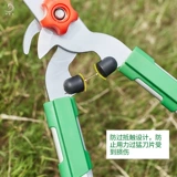 Садовые инструменты большие ветви и нарезанные фруктовые деревья.